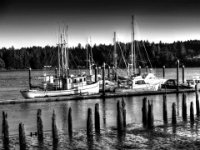 florence warf